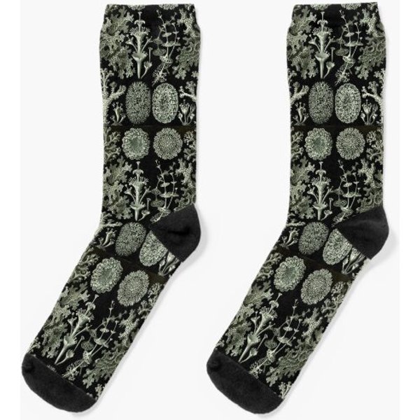 Natural History Lichen Socks