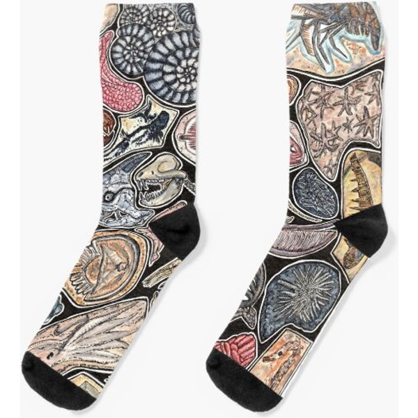 Fossils For History, Dinosaur And Archaeology Lovers Socks-image