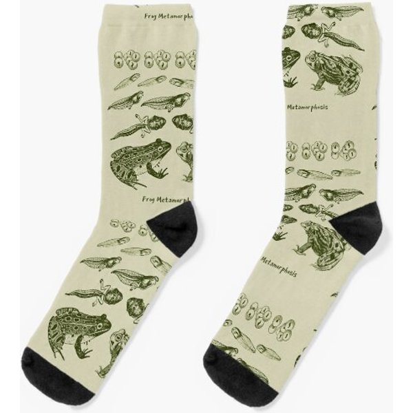 Frog Life Cycle Toad Tadpole Metamorphosis Vintage Biology Nature Lover - Science Biology Natural History Socks