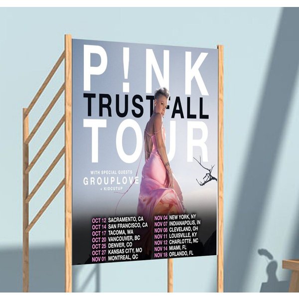 Pink Trustfall 2023 Tour Poster-image