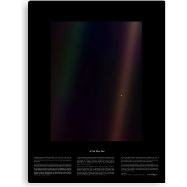 Pale Blue Dot Nasa X Carl Sagan Canvas-image