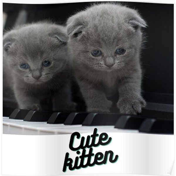 Cute Kitten ?❤️ Premium Matte Vertical Poster-image