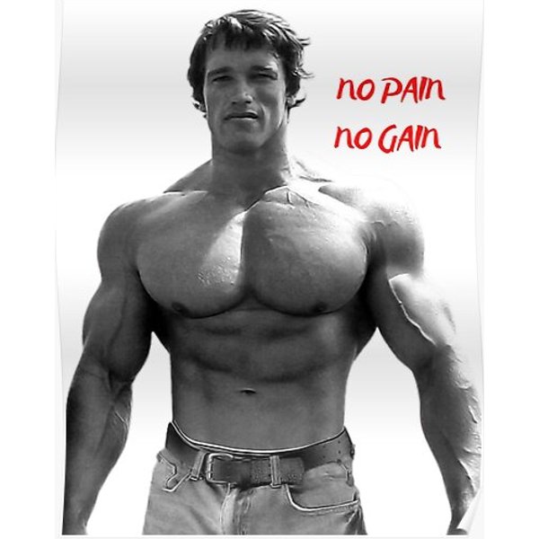 No Pain No Gain Premium Matte Vertical Poster-image