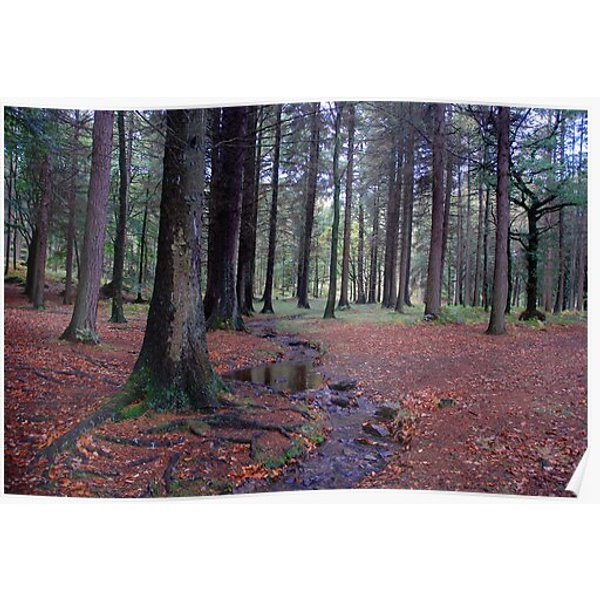 The Dreamy Wood Premium Matte Vertical Poster-image