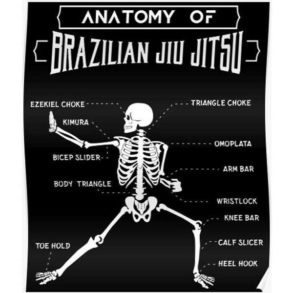 Mma Grappling Gift Anatomy Of Bjj Brazilian Jiu Jitsu Design Product Premium Matte Vertical Poster-image