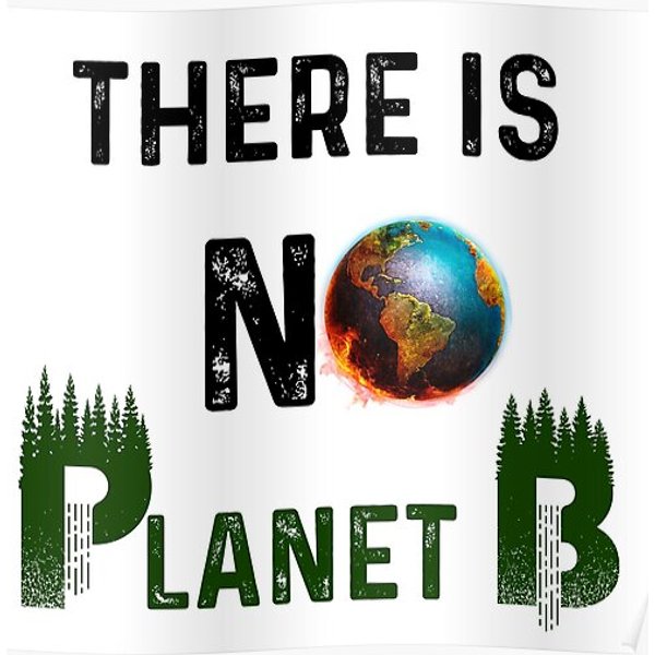 There Is No Planet B Premium Matte Vertical Poster-image