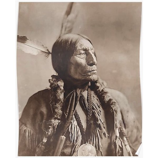 American Indian Premium Matte Vertical Poster-image