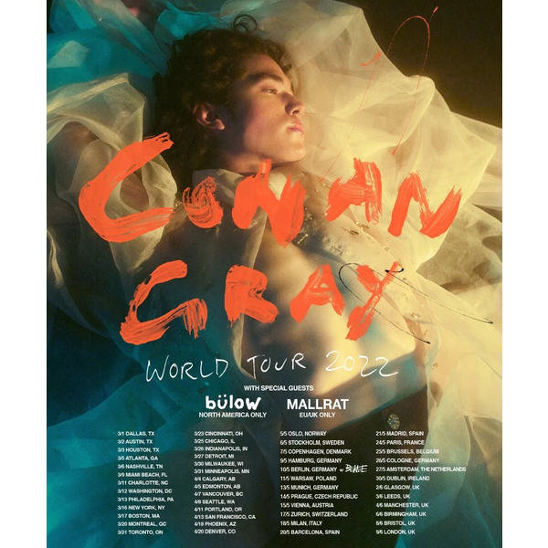 Conan Gray World Tour 2022 Classic Poster-image