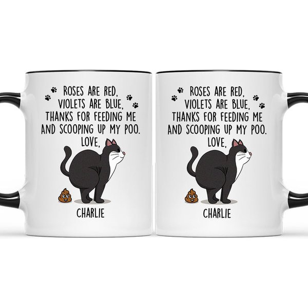 Thanks For Scooping Up My Poo - Cat Personalized Custom Accent Mug-image
