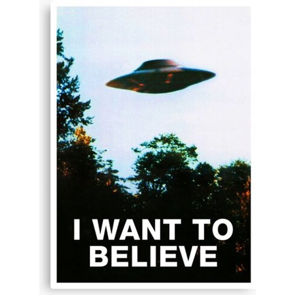 I Want To Believe. Original The X-Files Poster Canvas-image