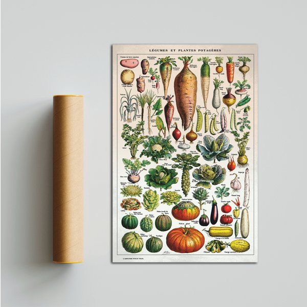 Vintage French Vegetables And Vegetable Plants Premium Matte Vertical Poster