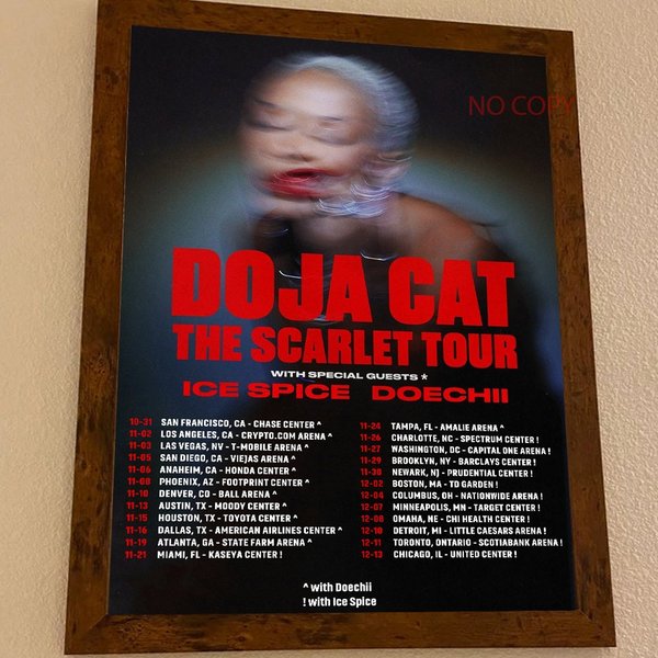 Doja Cat Fall 2023 The Scarlet Tour Poster-image