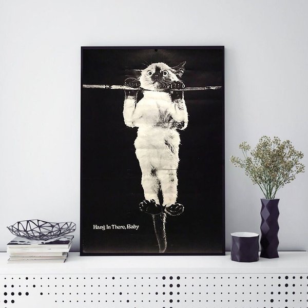 Hang In There Baby Poster, Cat Poster-image
