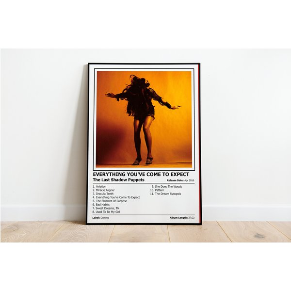 The Last Shadow Puppets - Everything Youve Come-image