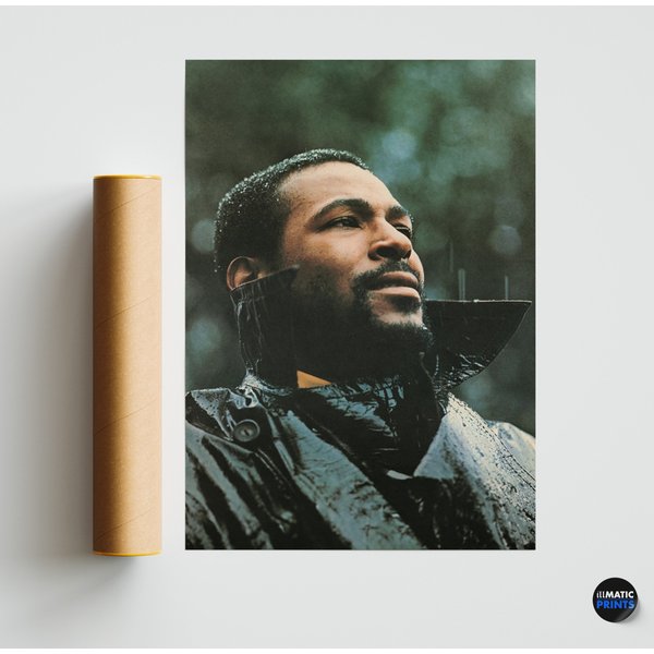 Marvin Gaye - What's Going On - Expanded Reimagined Album Art Poster-image