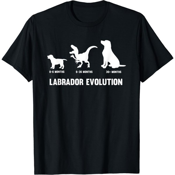 Labrador Retriever Evolution Design For A Labrador Owner T-Shirt-image