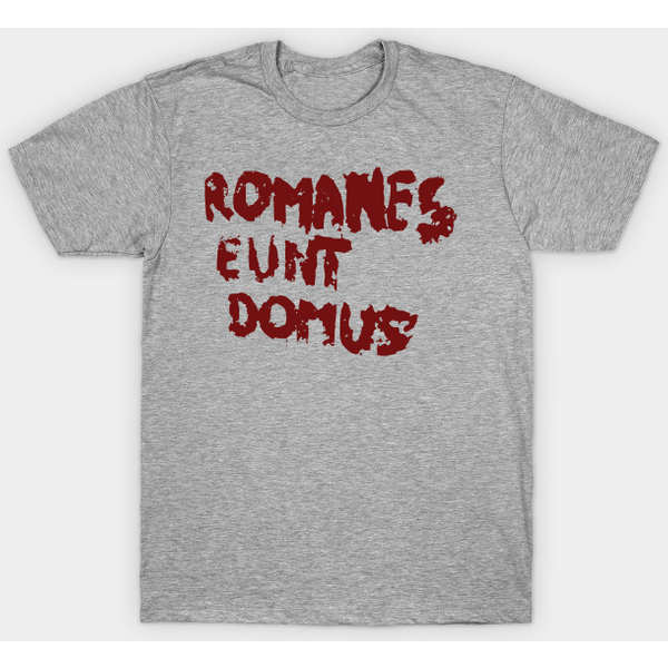 Romanes Eunt Domus - Life Of Brian - T-Shirt-image