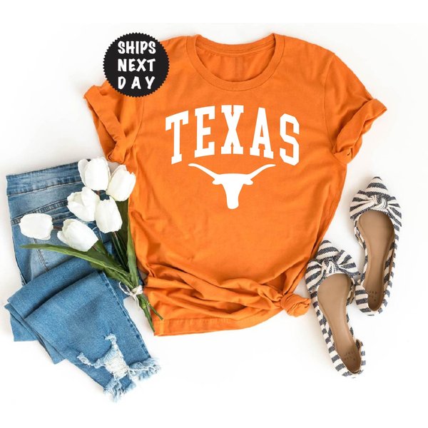 Texas Fair Longhorn Vintage T-Shirt-image