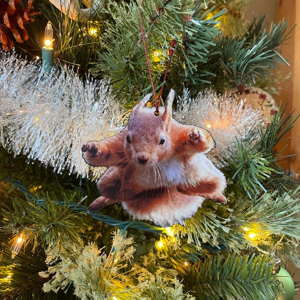 Christmas Vacation Squirrel Ornament - Funny Christmas Tree Ornament-image
