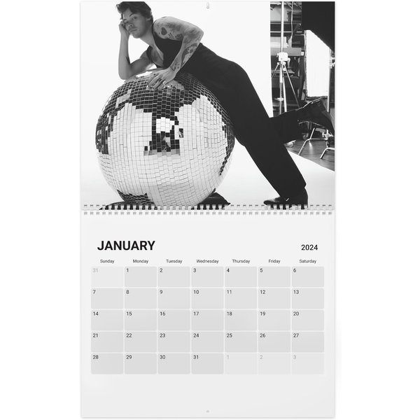 Harry 2024 Celebrity Wall Calendar-image