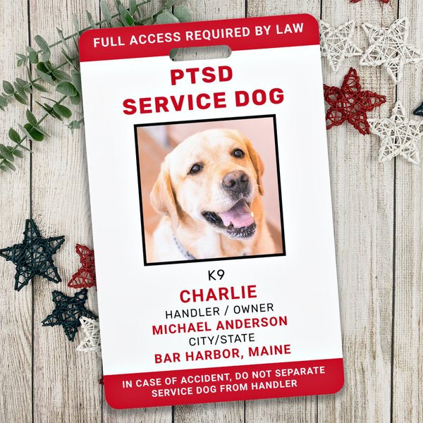 Personalized Red White Ptsd Service Dog Photo Id Badge-image