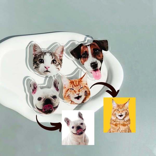 Personalized Cute Pet Animal Phone Grips, Custom Human Head Portrait Phone Holder