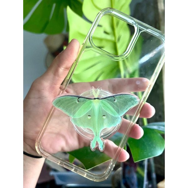 Luna Moth Phone Grip-rare Butterfly Phone Grip