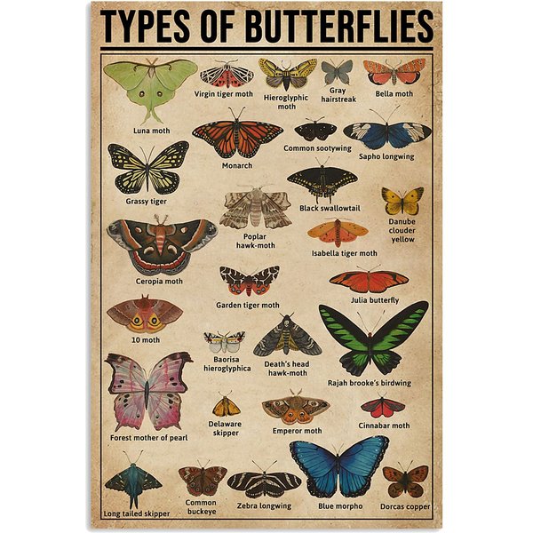 Butterfly Florida Butterfly Knowledge Premium Matte Vertical Poster-image
