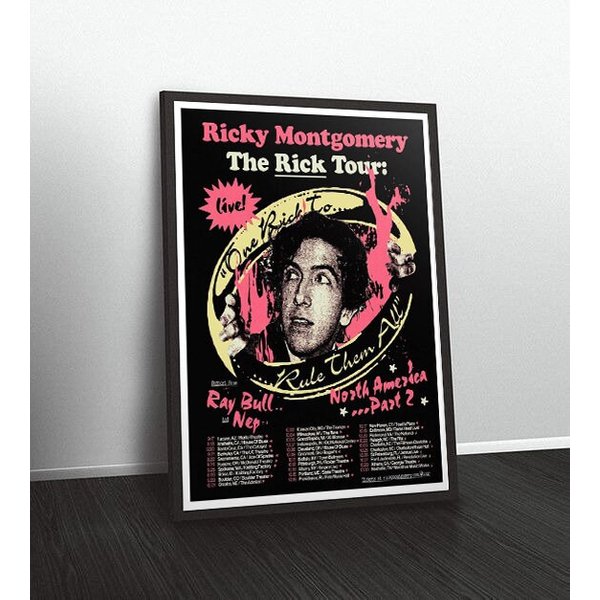 2024 Ricky Montgomery The Rick Tour Poster-image
