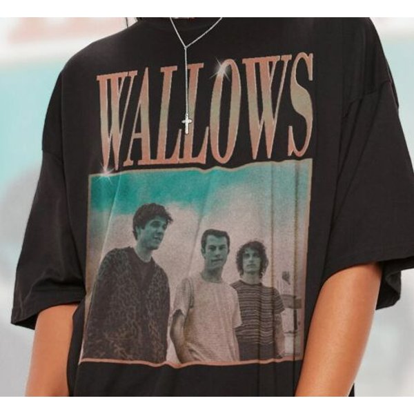 Wallows 2024 World Tour Shirt-image