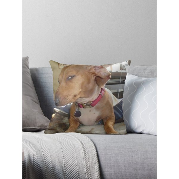 Side Eye Dog Meme Sus Pillow-image