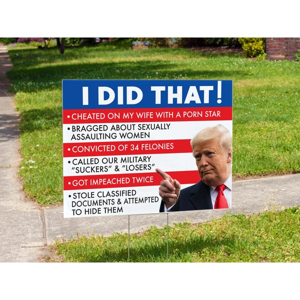 I Did That! | Trump Convicted | Double Sided | Quick Turnaround-image