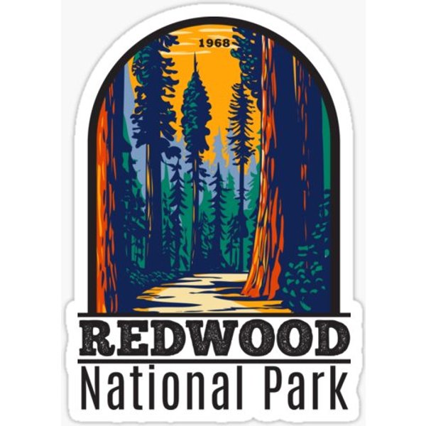 Redwood National Park California-image