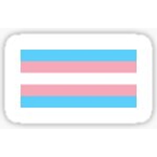 Trans Pride-image