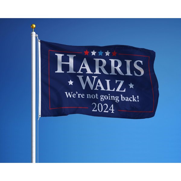 Harris Walz We're Not Going Back Election Flag 2024 Election Flag-image
