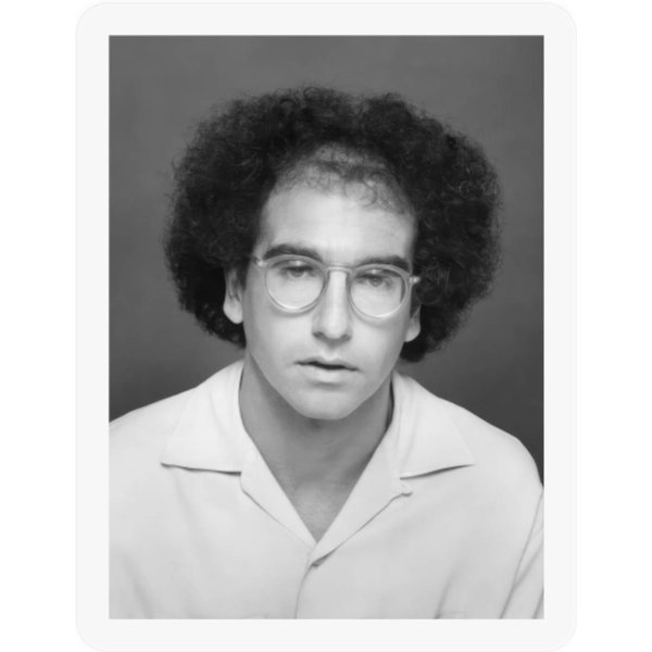 Young Larry David Stickers-image