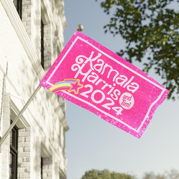 Kamala Harris (And Tim!) - Harris Walz 2024 House Flag-image