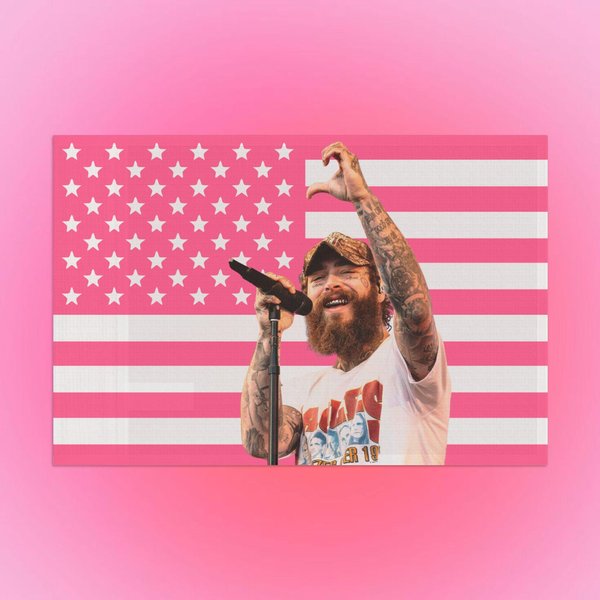 Post Malone Us Tapestry-image