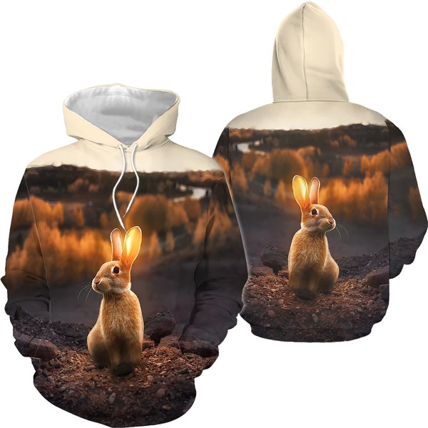 Rabbit Animal Sunset Pullover 3D Hoodie-image
