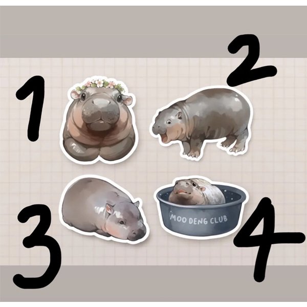Stickers L Moo Deng L Meme Hippo L Pygmy Hippo L Vinyl/Paper-image