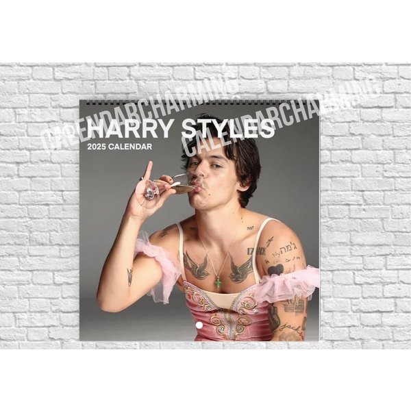 Harry Styles 2025 Calendar Vol. 2
