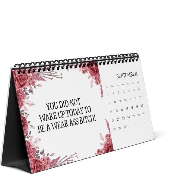 2025 Funny Office Humor, Work Swear Affirmations, Desk Calendar, White Elephant