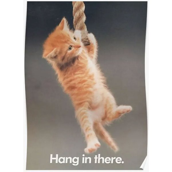 Cat Hang In There. Premium Matte Vertical Poster-image