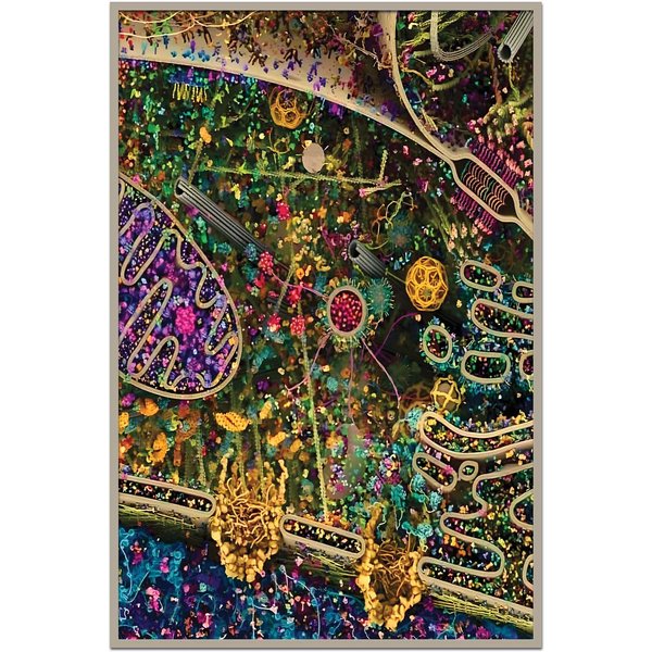 Human Cell Detailed, Biologist/scientist/science Lover Premium Matte Vertical Poster