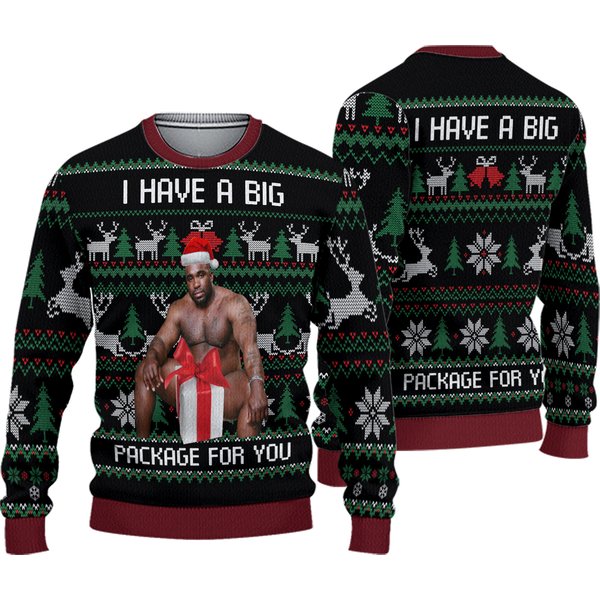 Big Package Ugly Christmas Sweater, I Have Big Package For You Xmas Sweatshirt-image
