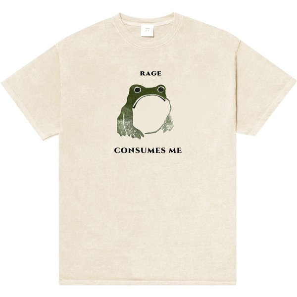 Frog Shirt Meme Design-image