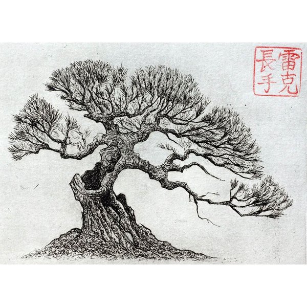 Japanese Pine Bonsai Print - Intaglio Art Of Nature-image