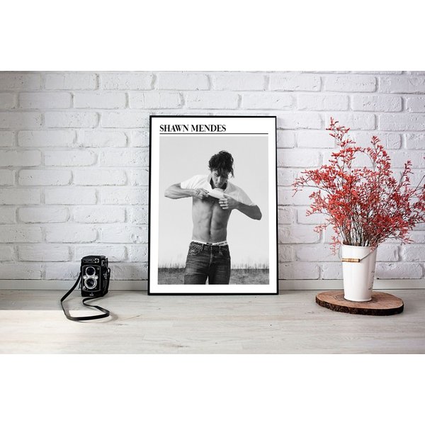Shawn Mendes Black & White Poster-image