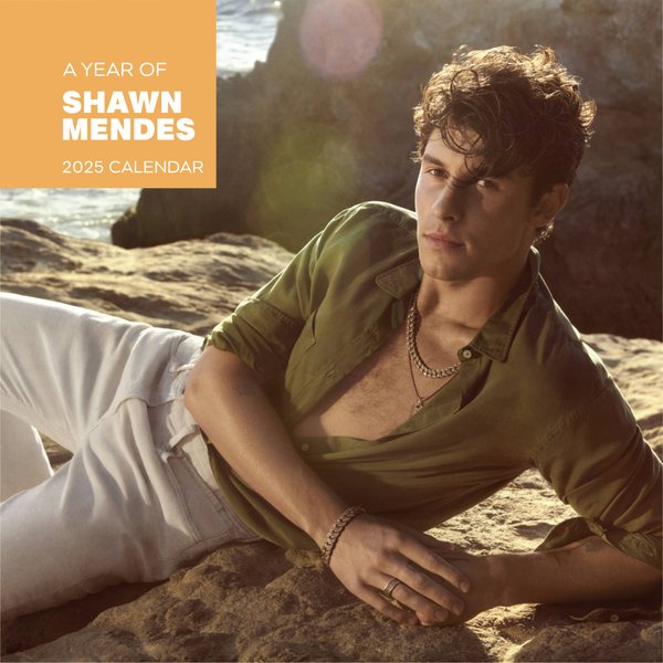 Shawn Mendes Calendar 2025, Celebrity Calendar, Shawn Mendes 2025-image