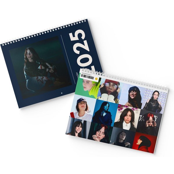2025 Billie Eilish Calendar , Gift Idea, Wall Calendar, And Aesthetic-image